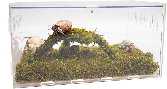 Hermit Crab Tank, Starter Cage Kit with 7 Inch Adjustable Climbing Toys and 3.5oz Substrate
