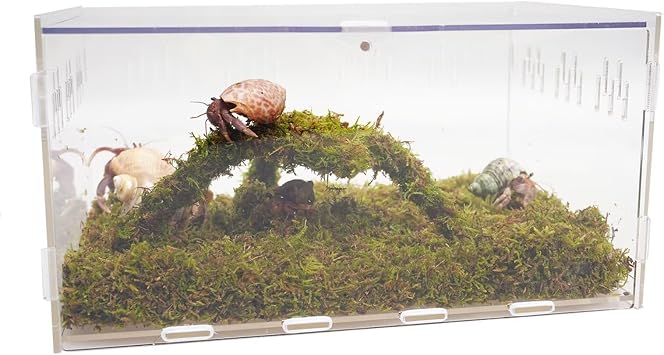 Hermit Crab Tank, Starter Cage Kit with 7 Inch Adjustable Climbing Toys and 3.5oz Substrate