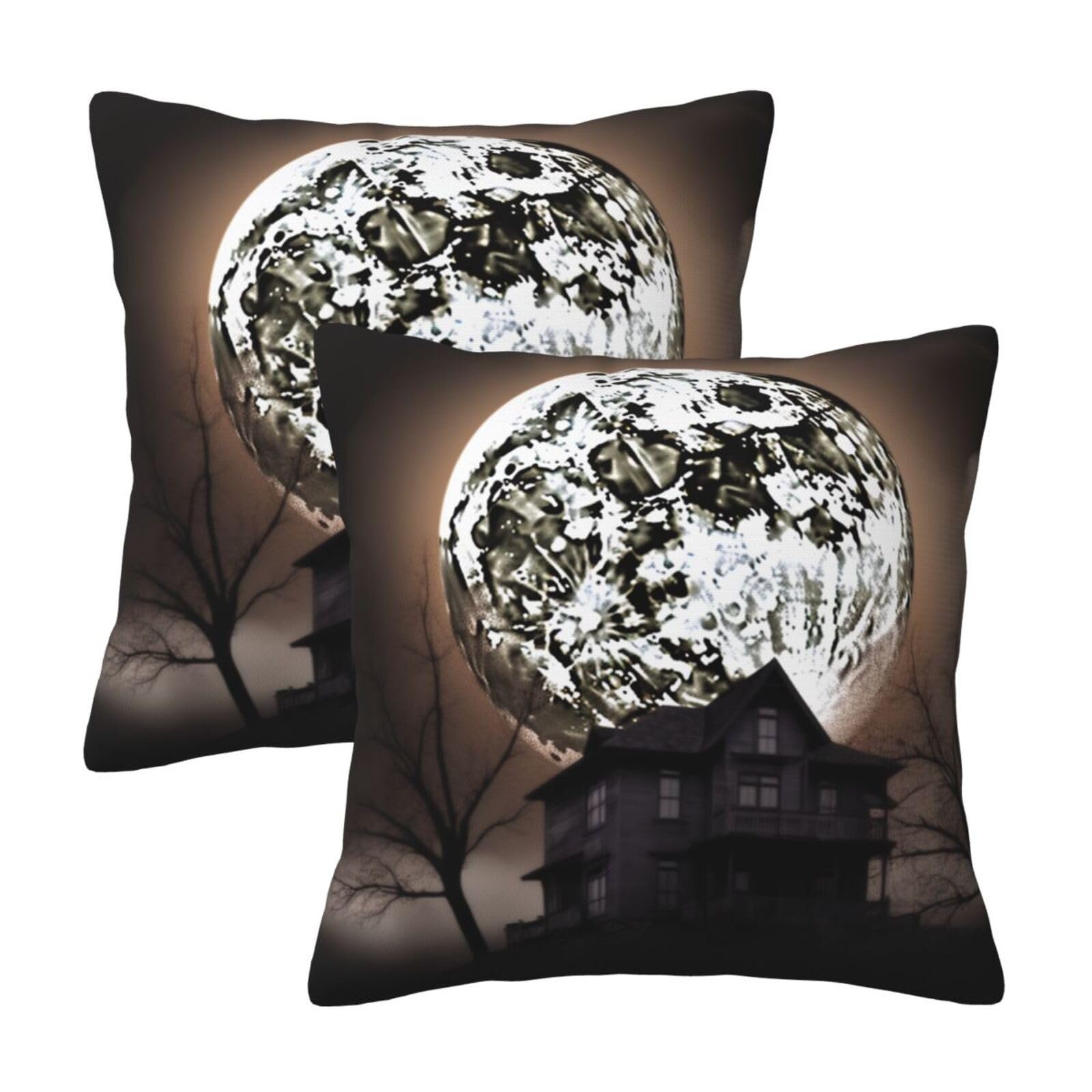 Halloween Moon Throw Pillow Cases 2 Pack Square Pillowcases Soft Pillow Protectors for Couch Livingroom Sofa Bed Office Car,30x30 CM