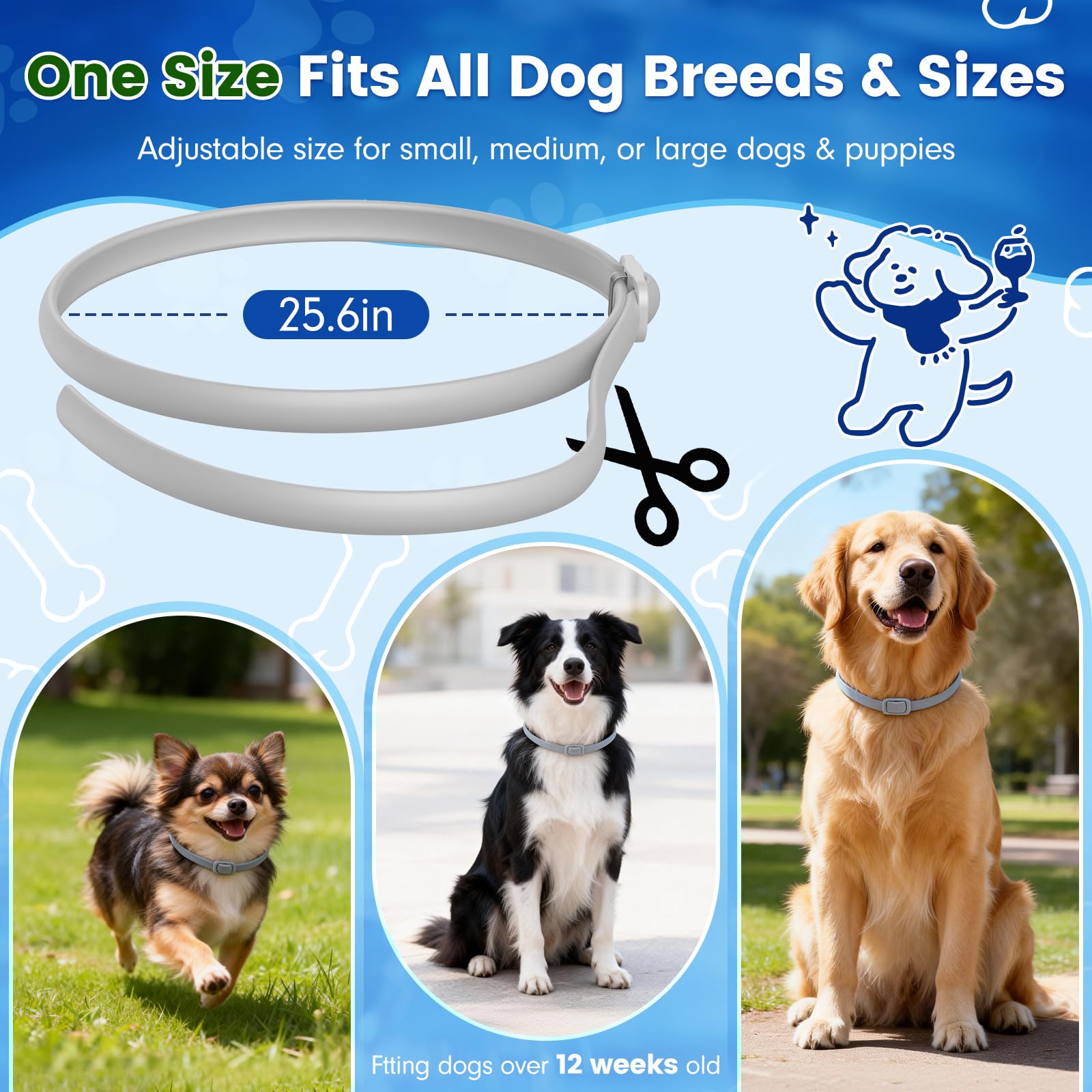 KOOSA Flea and Tick Collar for Dogs, 5 Packs Flea Collar for Dogs with Natural Essential Oils, Waterproof & Adjustable Flea and Tick Prevention Collar for Small Medium Large Dogs & Puppies, Grey 01 — view 6
