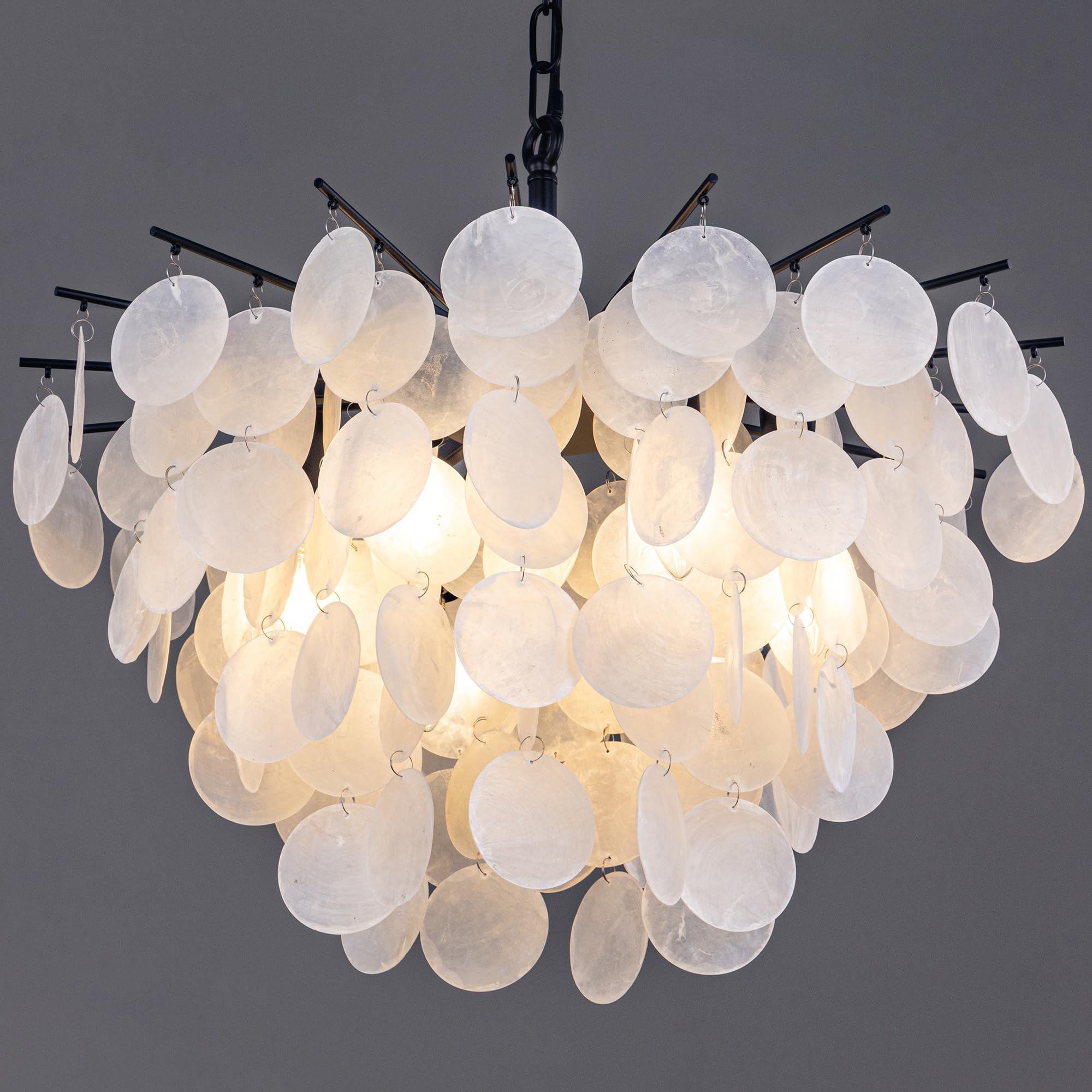 Photo 1 of TOCHIC Capiz Shell Chandelier, 22 Inch Black