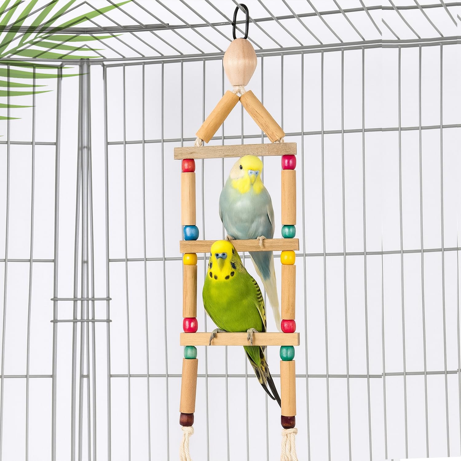 Jainsons Pet Products Colorful Wooden Bird Ladder & Swing Toy Hanging Swing Toys for Parrots, Parakeets, Budgies, and Small Birds Natural Wood Climbing Ladder with Beads 39cm x 8.5cm
