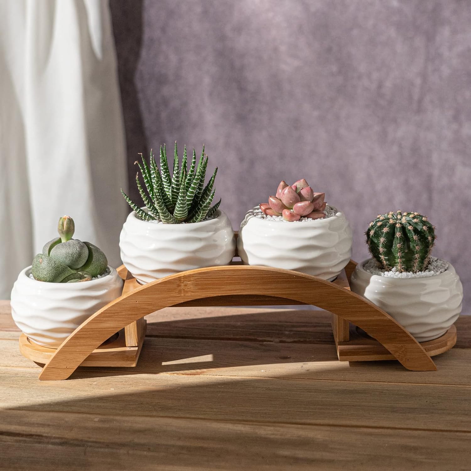 E-liu Succulent Pots and Stand Set, Ceramic White Succulent Planter Pot with Drainage, Pack of 4, Cute Office Garden Indoor Decoration, Plants Not Included