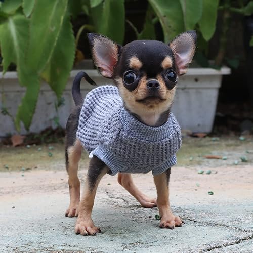 Miniatura 5 de LOPHIPETS Suéteres ligeros para perros pequeños, cachorros, chihuahua Yorkie, ropa grisXXS