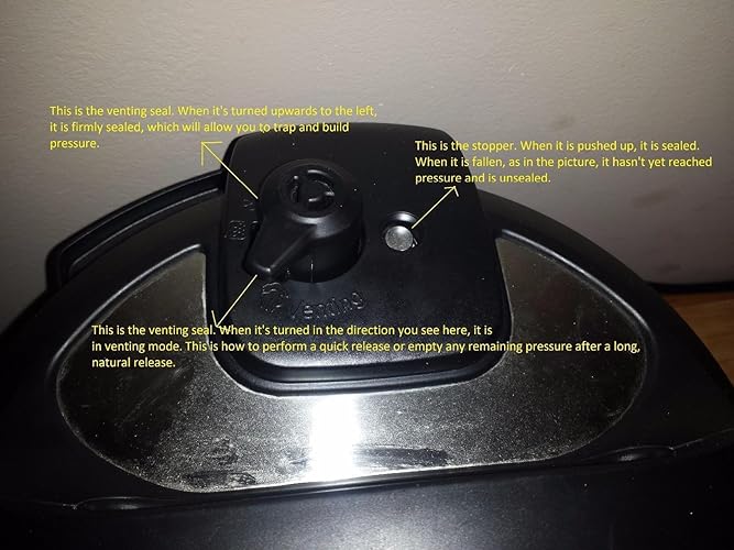 A truly Canadian innovation - Instant Pot is the best item in my kitchen, hands down