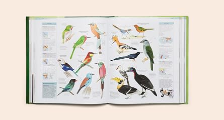 The Encyclopedia of Animals: A Complete Visual Guide