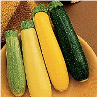 Summer Medley Blend Squash Seeds (20+ Seeds) | Non GMO | Vegetable Fruit Herb Flower Seeds for Planting | Home Garden Greenhouse Pack