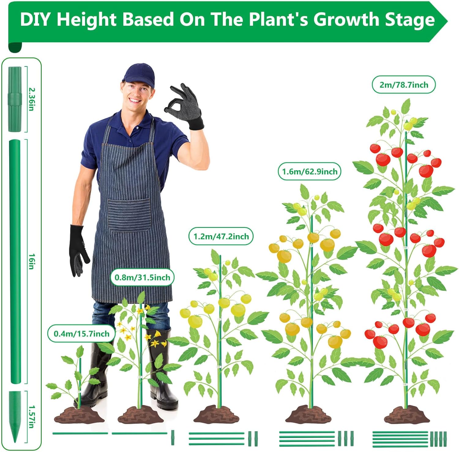 Lezmarket 80 Pack Garden Stakes(16" Each), Plant Support Stakes, DIY 4ft 5ft 6ft 7ft Sturdy Fiberglass Plant Sticks Support Garden Trellis for Growing Climbing Tomato Vegetables Flowers