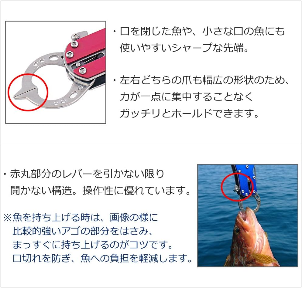 Amazon オーシャンブレイブ アライブハング6 ダブルパック2 ストリンガーセット ワンタッチ式フック6本 ワイヤーロープ10m フロート ワイヤー収納ホルダー 収納ポーチ ステンレス製 Oceanbrave オーシャンブレイブ アクセサリー