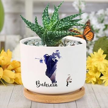 DreamAutumn Bahrain Ceramic Planters Ceramic Pots with Saucers Orchid Pots for Plants Succulents Pots Office Desk Garden Balconys New Home Decor,Gifts for Mom Mother Grandmother