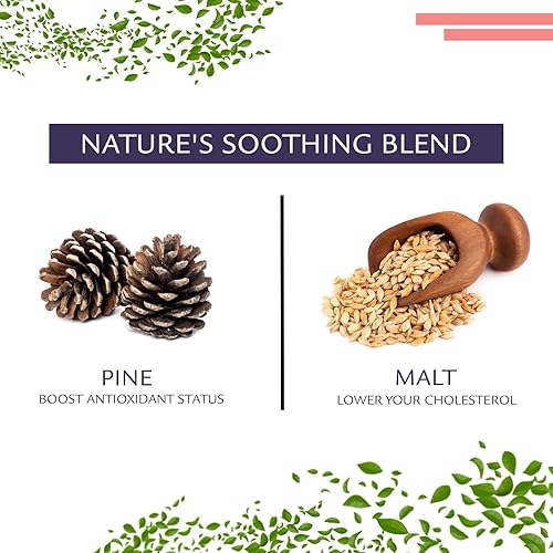 Vista 37 de Birdsong Rufous Pekoe - Té orgánico de Pekoe naranja de las Indias Orientales con malta, especias y notas de madera, té negro con cafeína dulce 100%