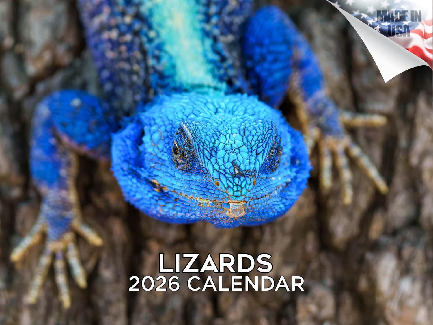 2024 2025 Eidechse – Reptilien-Monats-Wandkalender – 30,5 x 45,7 cm offen – dickes Papier ohne Auslaufen – Geschenk – akademischer Lehrerplaner Kalender Organisieren und Planen