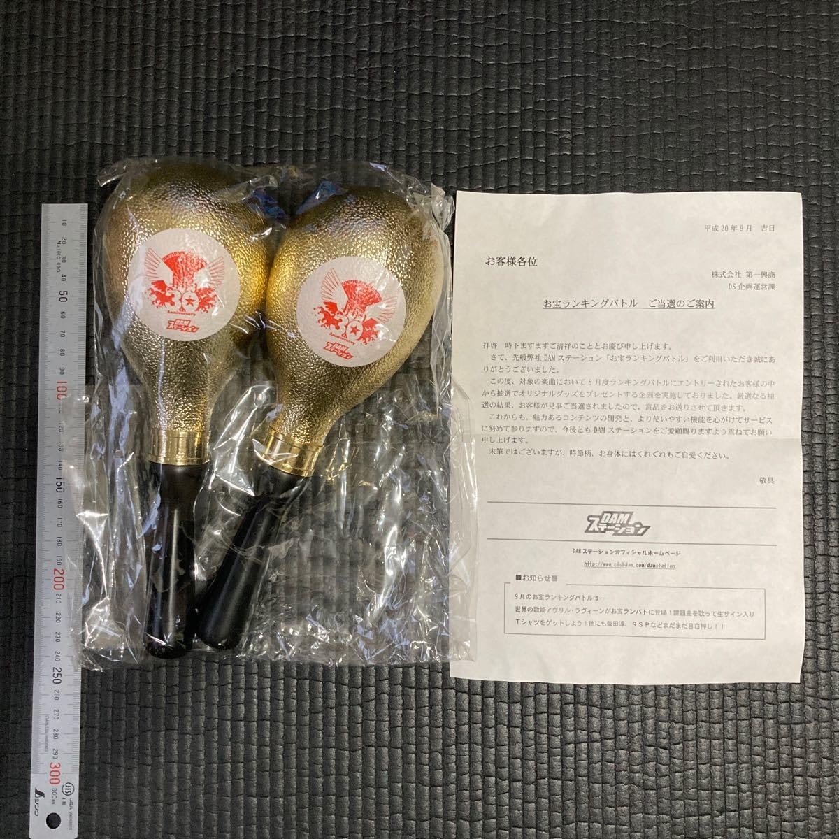 Amazon.co.jp: サザングッズ レア貴重 マラカス 楽器 30th