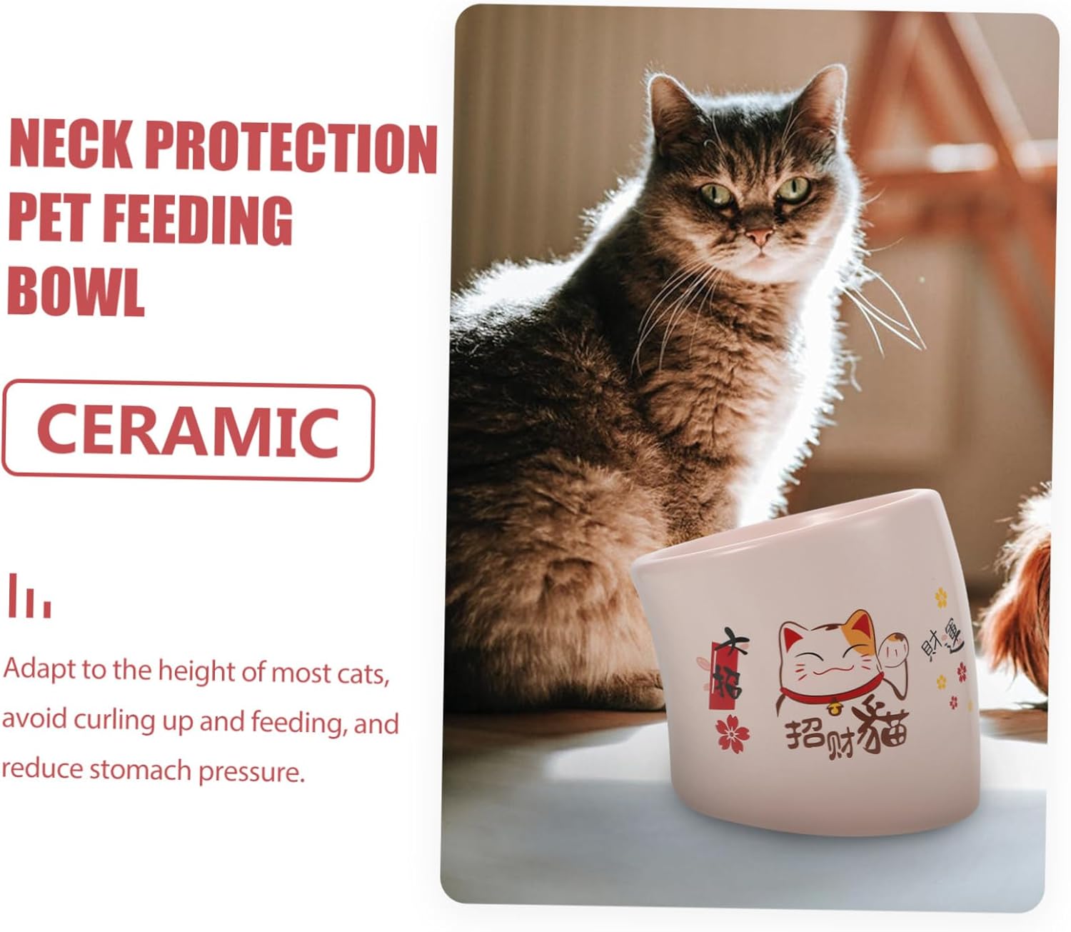 1pc Elevated Feeding Bowl Spill Pet Food and Water Dish Easy Cats and Dogs