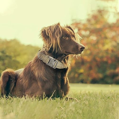 Miniatura 7 de Collar táctico reflectante para perro, ajustable para entrenamiento y servicio, collar de perro K9 con hebilla de metal resistente de nailon militar