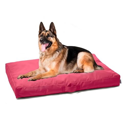 Avalon - Cojín para Perro Desenfundable y Lavable Grande en Tejido Jive Antidesgarro Premium, Anatómico…