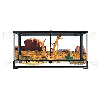 REPTI ZOO Reptile Glass Terrarium Tank Double Hinge Door with Screen Ventilation Large Reptile Terrarium 36