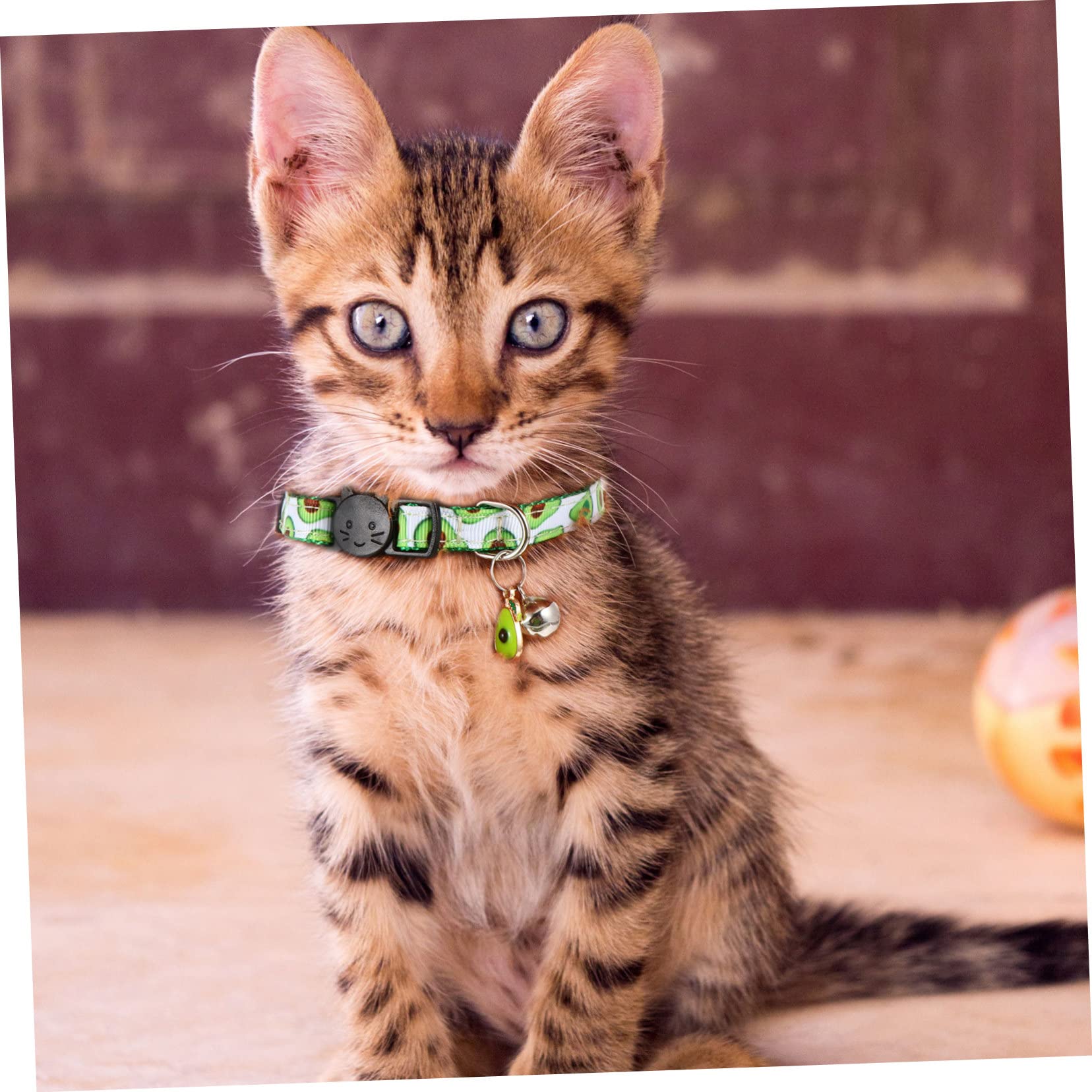 BESPORTBLE 12pezzi Collare Per Gatti Regolabile Con Campanella Set Di Stile Fruttato Avocado Ananas Anguria Forniture Per Animali Domestici Colorate e Adorabili