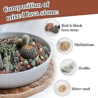 Vista 3 de Sukh Suelo de gránulos para suculentas hortícolas de 1 libra, mezcla de bonsái, rocas de lava, cactus y suelo, enmienda de mezcla para macetas