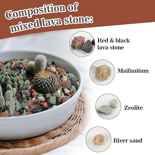 Miniatura 3 de Sukh Suelo de gránulos para suculentas hortícolas de 1 libra, mezcla de bonsái, rocas de lava, cactus y suelo, enmienda de mezcla para macetas