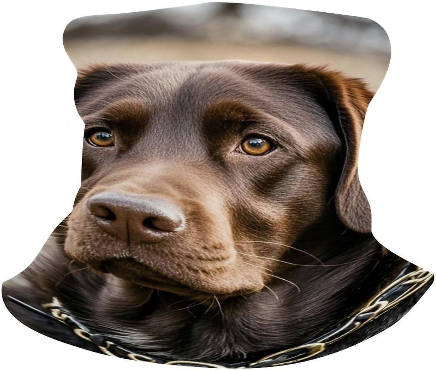 Upf 50+ Fishing Neck Gaiter Breathable Balaclava Half Face Mask Quick Dry Neckscarf Ski Mask Windproof Brown Labrador Retriever Face Covering for Sun Protection Outdoor