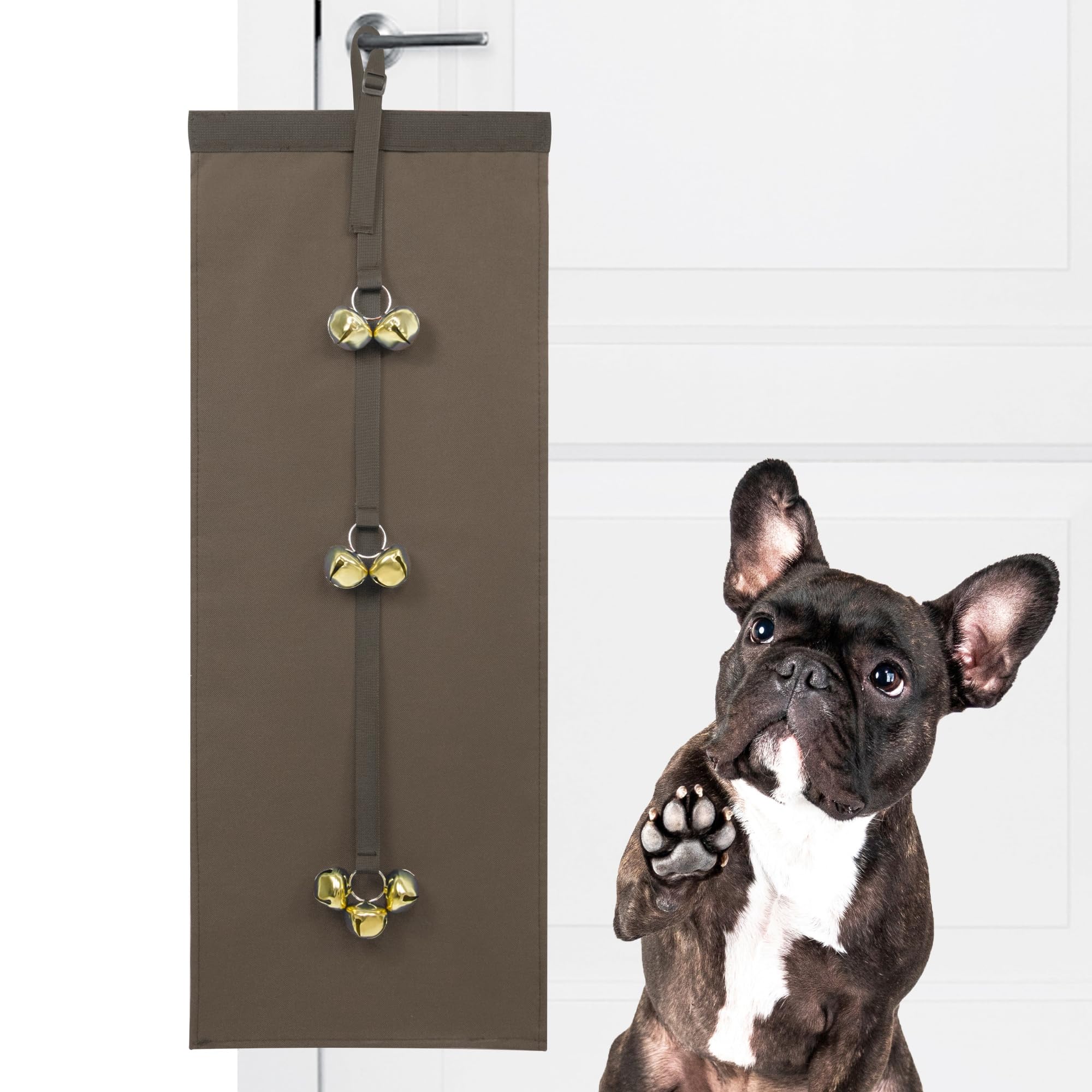 Chien Boxer Vaiana Des Gardiens De Chami