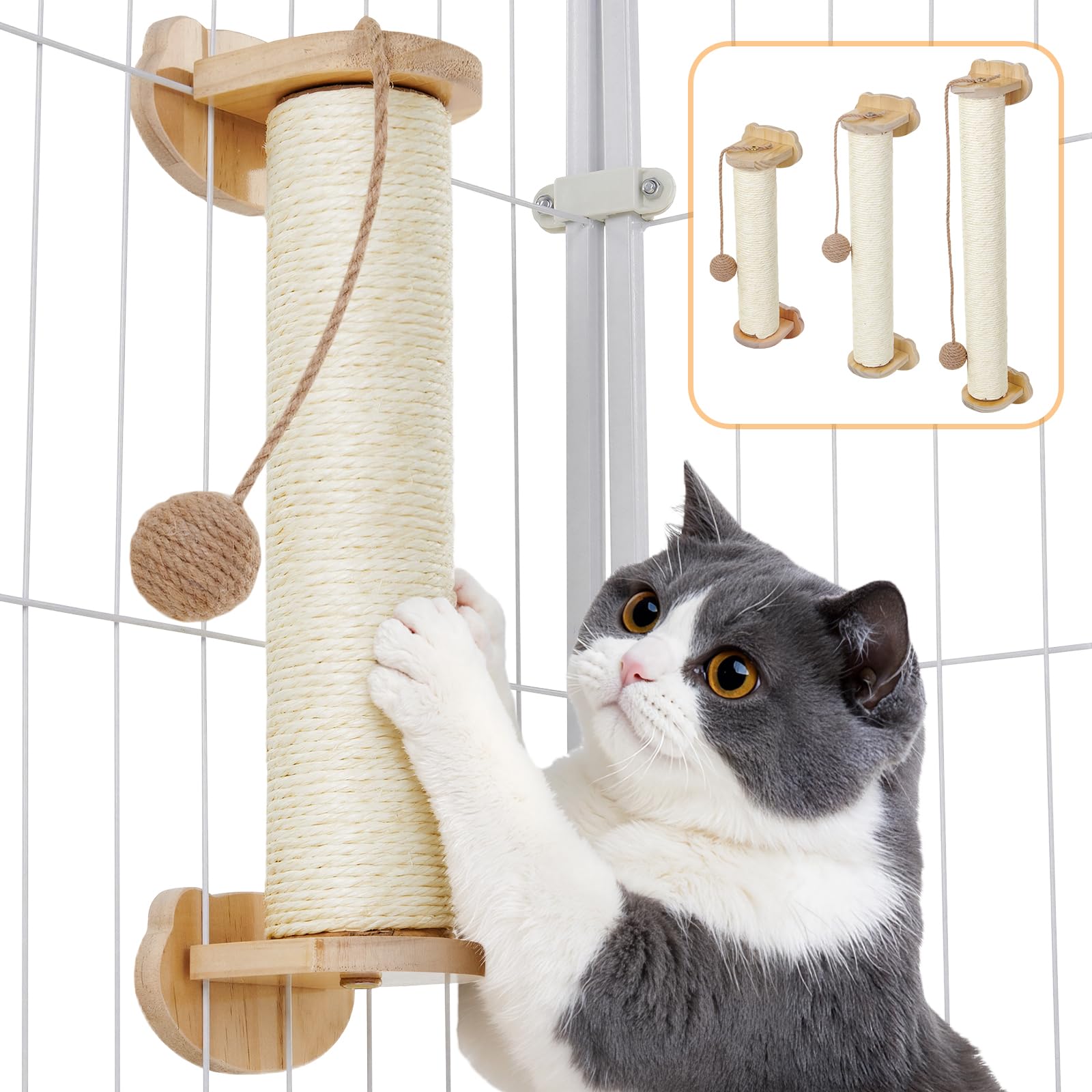 Amazon | 【猫健康管理士監修】 猫 爪研ぎ ケージ用 おもちゃ 付き