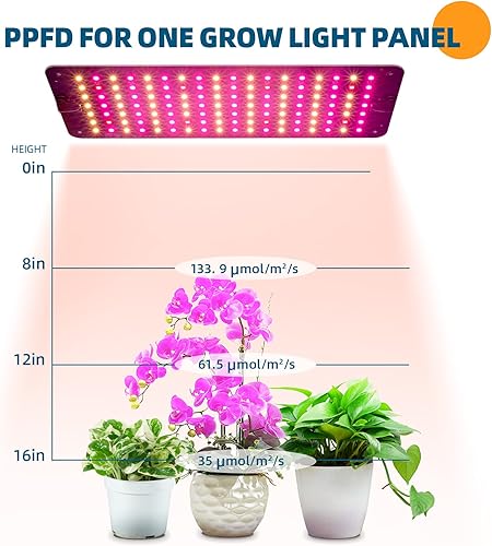 Miniatura 5 de Barrina Luces de cultivo para plantas de interior, 20 W (2 x 10 W) panel de luz de crecimiento ultrafino de espectro completo con temporizador de