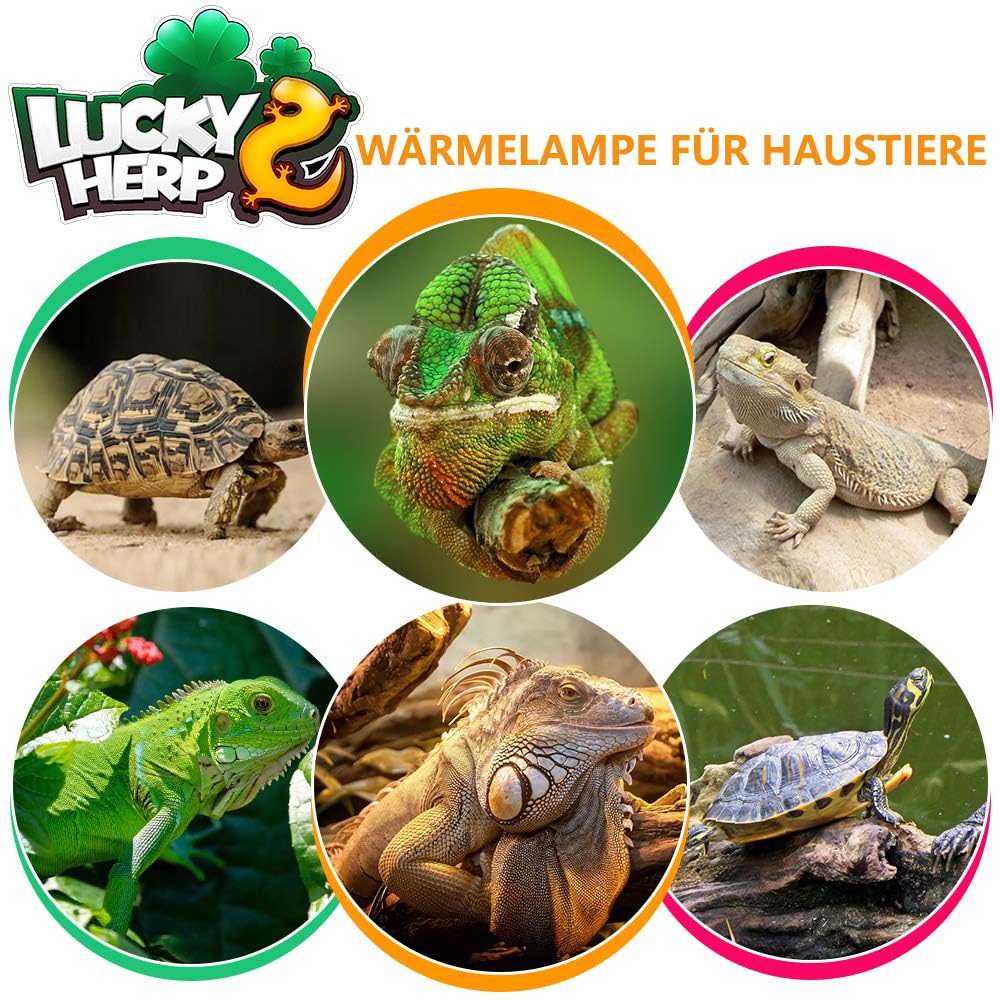 LUCKY HERP Lámpara de calor UVA UVB para terrario, 80 W, reptiles, UVA UVB, terrario, E27, lámpara UV para tortuga, gamuza, lagarto