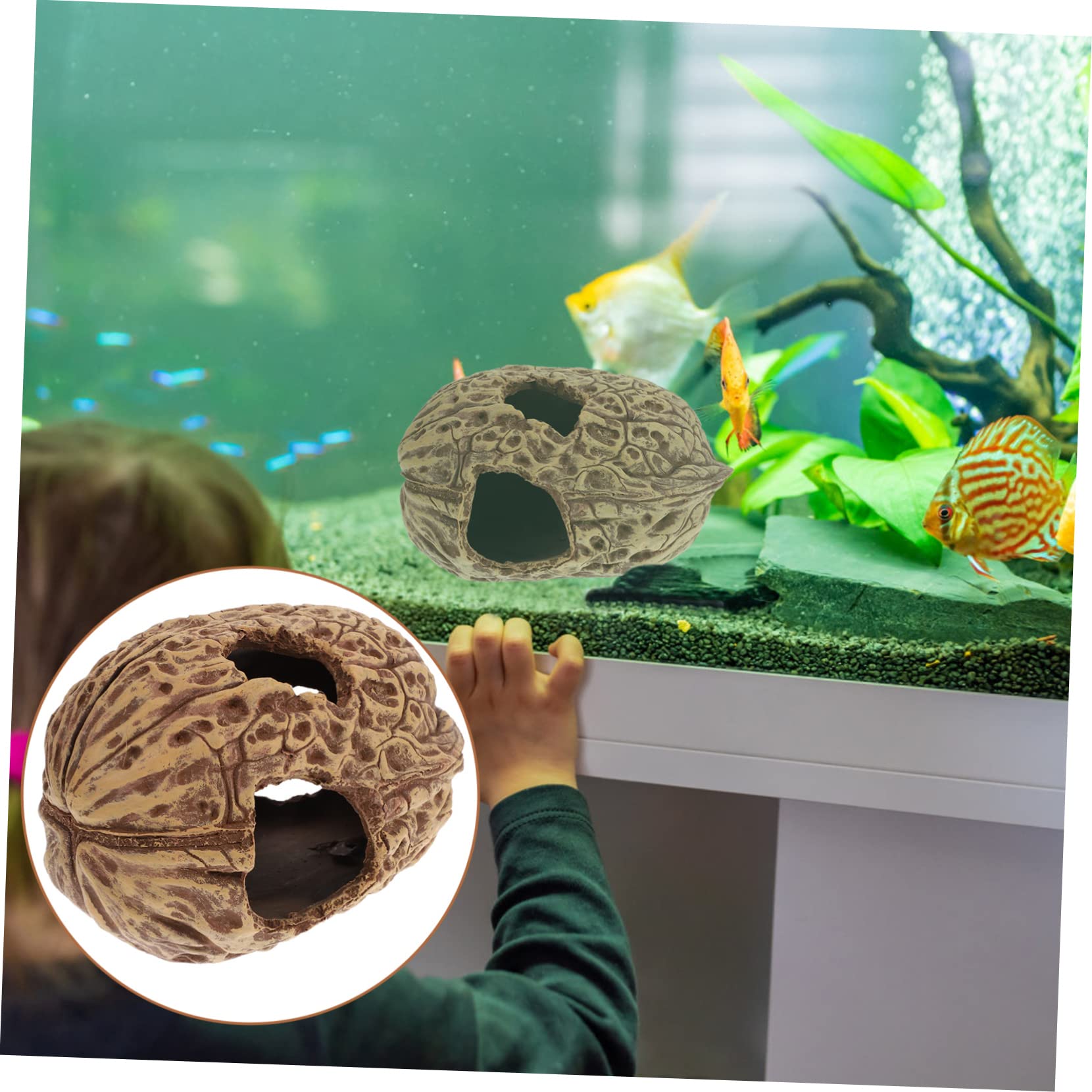 Refugio para Peces y Camarones Acuario Casa De Decoración Natural De Núcleo De Nuez Accesorio para Acuarios De Agua Dulce y Salada Espacio Seguro para Reptiles y Tortugas