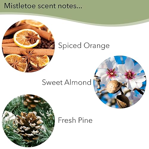 Miniatura 2 de Mini barra de jabón y muestra de loción navideña, muérdago y castaño de arándanos, juego de 4 enriquecidos con manteca de karité, aceites esenciales