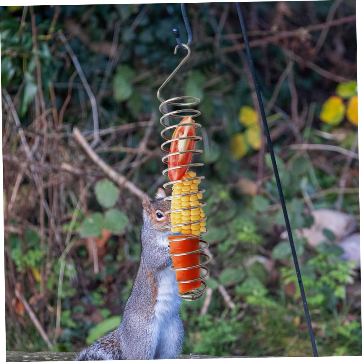 MERRYHAPY Squirrel Feeder Stand for Outdoor Use Adjustable Corn Holder 304 Stainless Steel Construction Squirrel and Bird Feeding Station for Backyard Wildlife