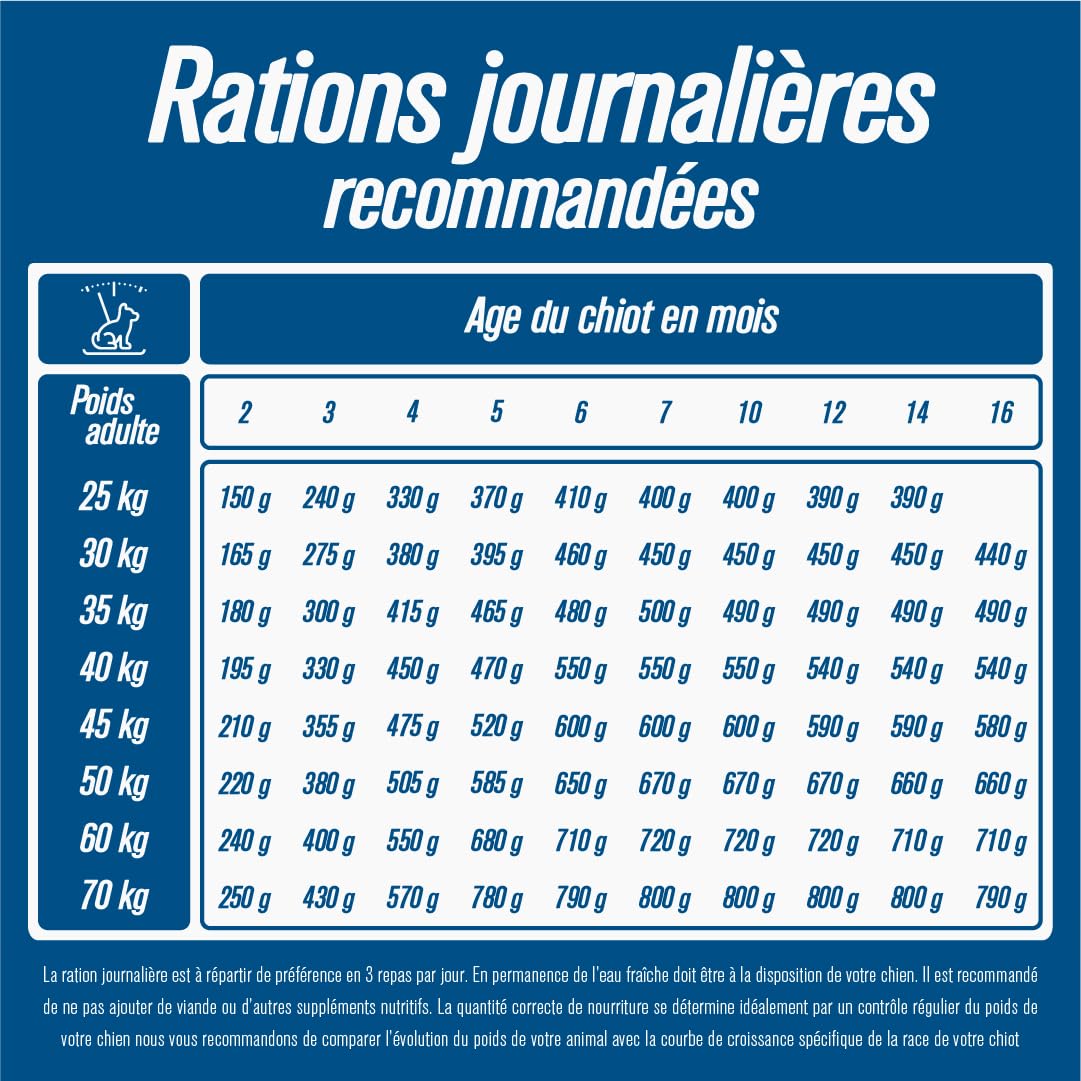 Iso dog - Croquettes Haut de Gamme pour Chiens en Croissance de Grande Race - sans Gluten - Digestion optimale - Riche en Poulet - 14kg - sans OGM - Matières premières 100% Naturelles