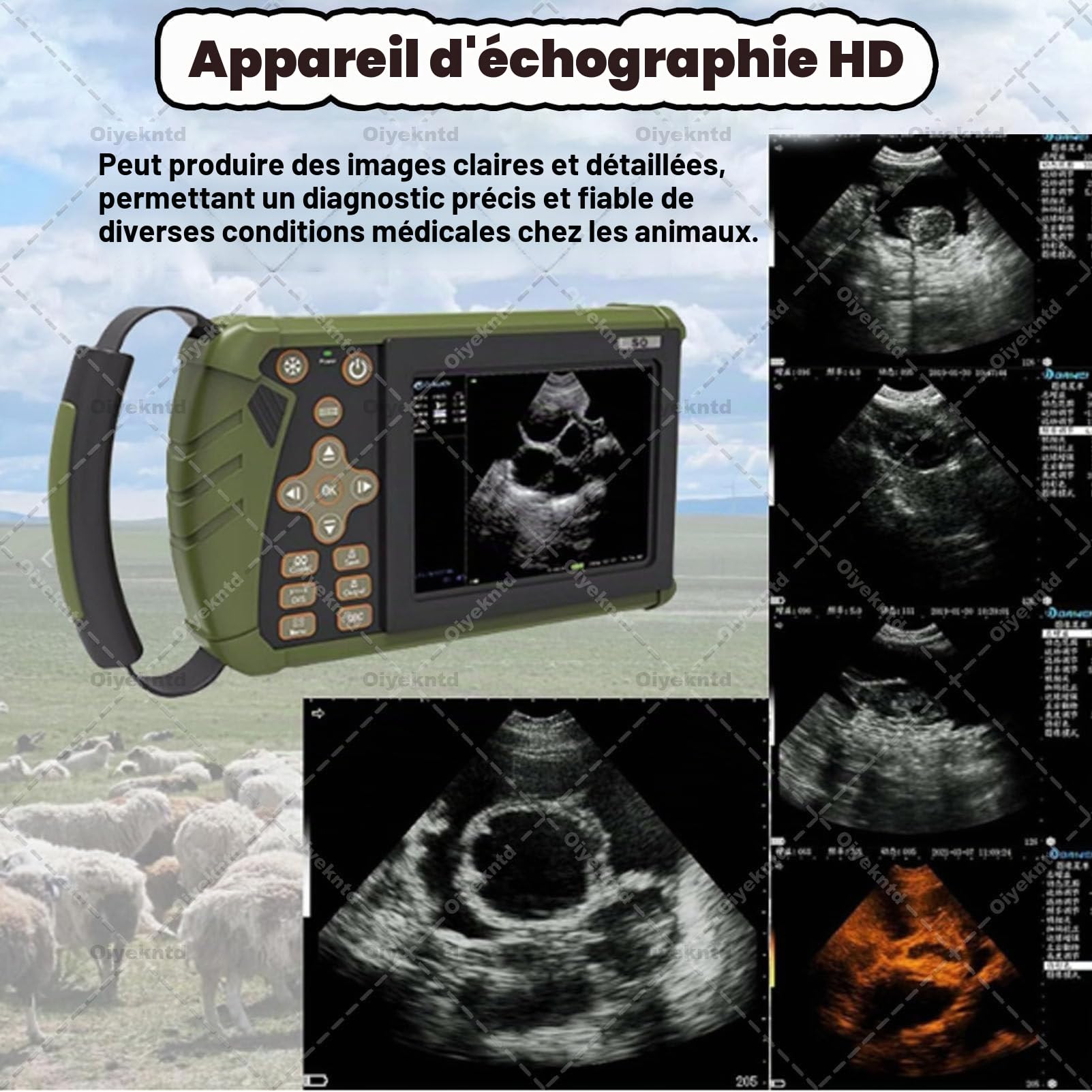 Échographe Portable pour Animaux, Appareil d'échographie de Diagnostic de Gestation vétérinaire avec sonde Convexe de 3,5 MHz pour Moutons, Chiens, Chats et porcs (estimation)