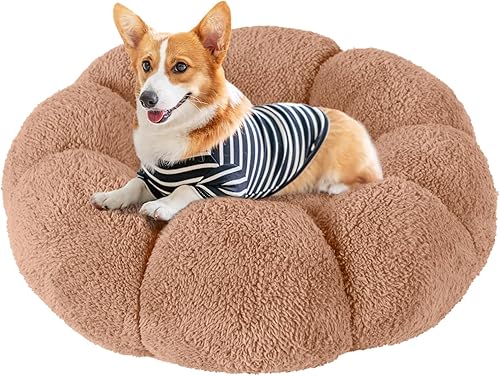 Miniatura 1 de Cama calmante para perros pequeños y medianos, cama redonda esponjosa para cachorros para perros y gatos, cama lavable para perros y gatos, cama