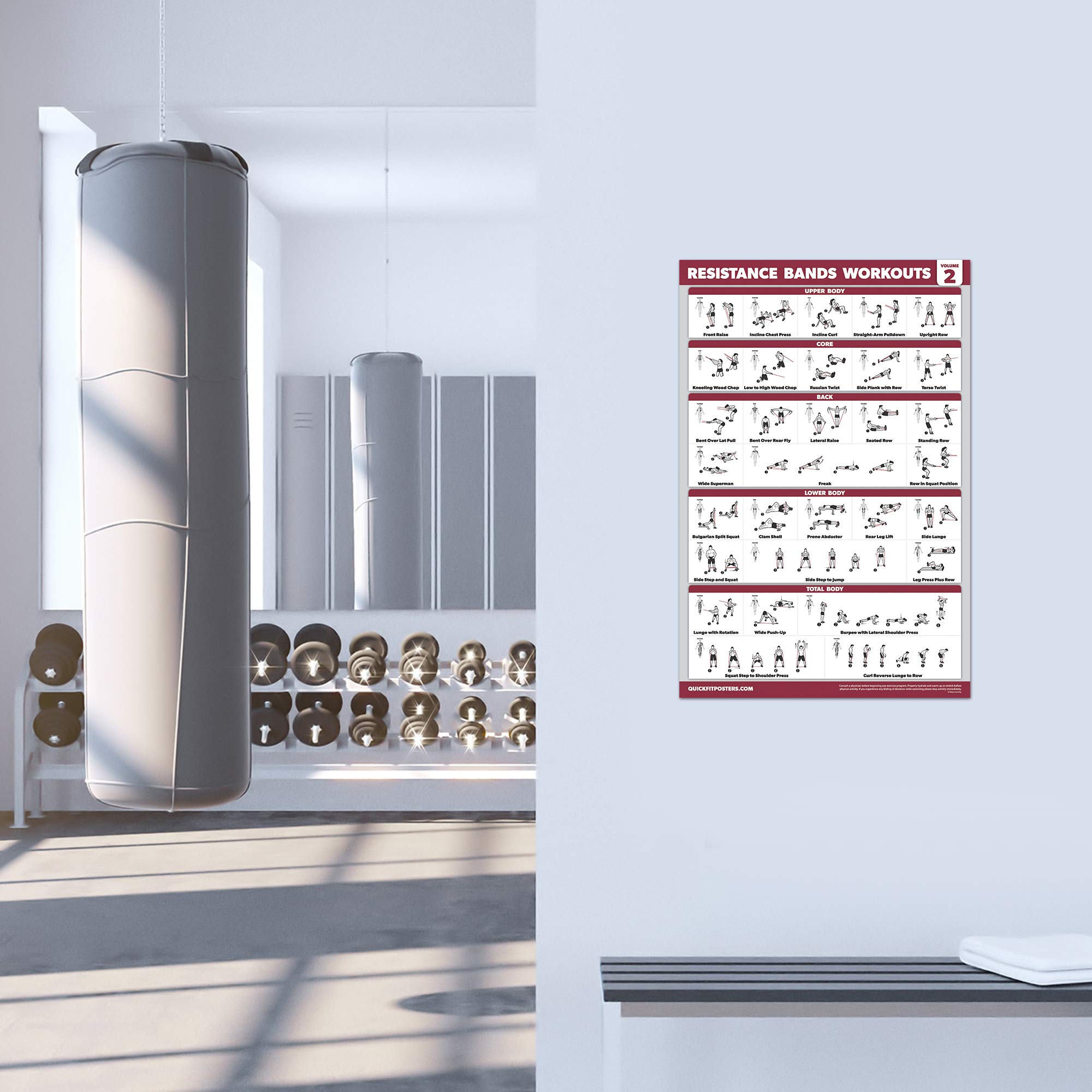 QuickFit 2 Pack Resistance Bands Exercise Poster Set Resistance Tubes