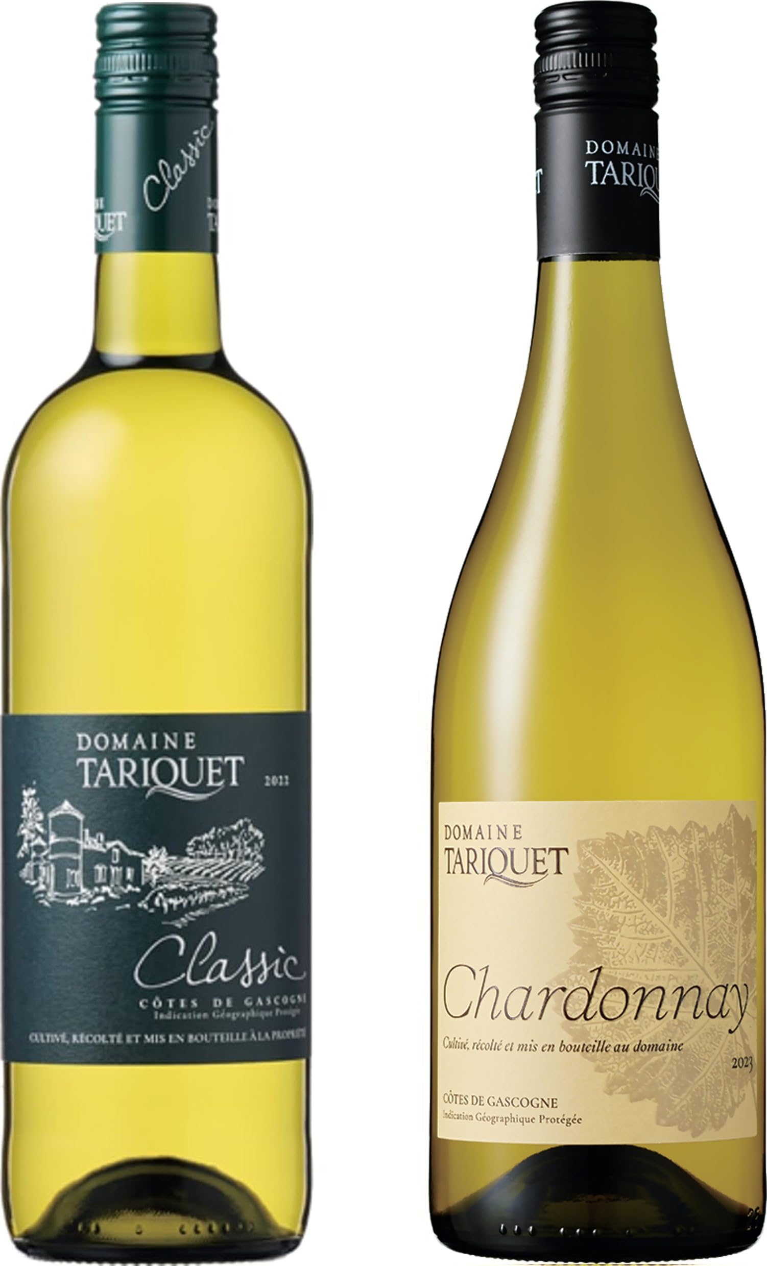Amazon.co.jp: Domaine du Tariquet(ドメーヌ・デュ・タリケ) 白2本