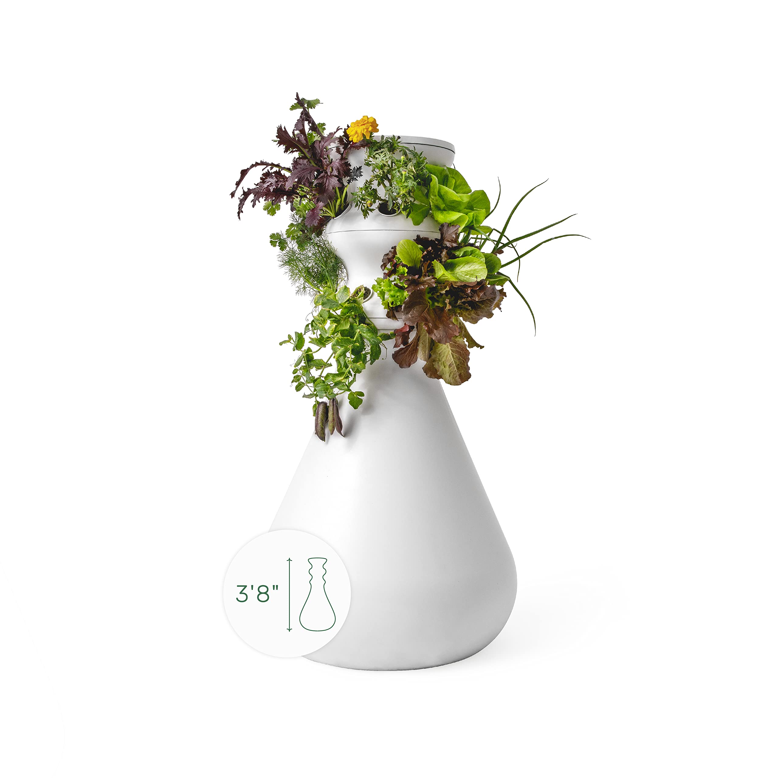 Lettuce Grow Farmstand 12Plant Hydroponic Growing System Kit Outdoor