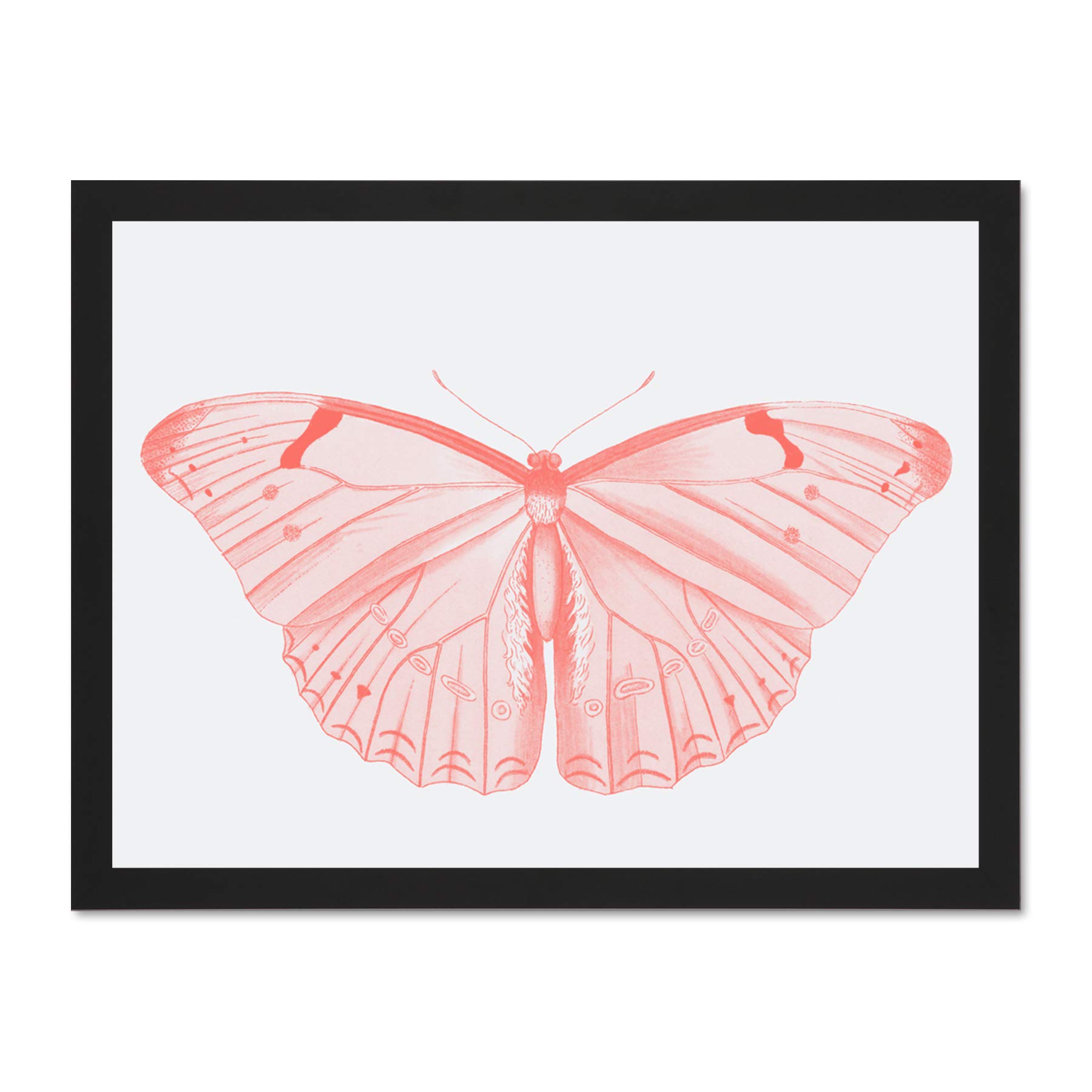 Wee Blue Coo Living Coral Butterfly Large Black Framed Art Print Wall Poster 18x24 inch