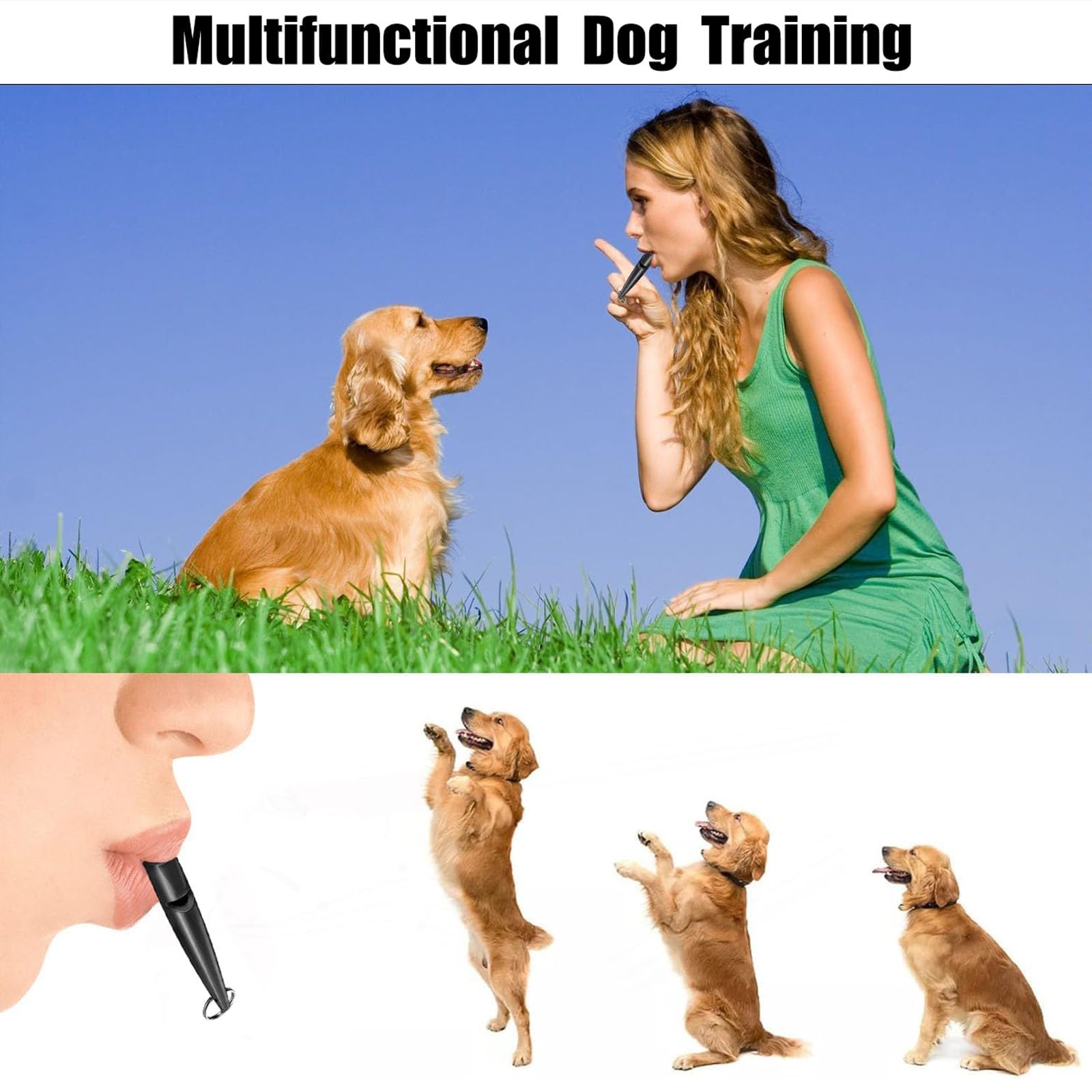 2 Pcs Sifflet pour Chien, Sifflet Anti Aboiement Chien, Sifflet pour Chien Professionnel Sifflet, Sifflet à ultrasons Professionnel pour l'entraînement et Le contrôle des aboiements