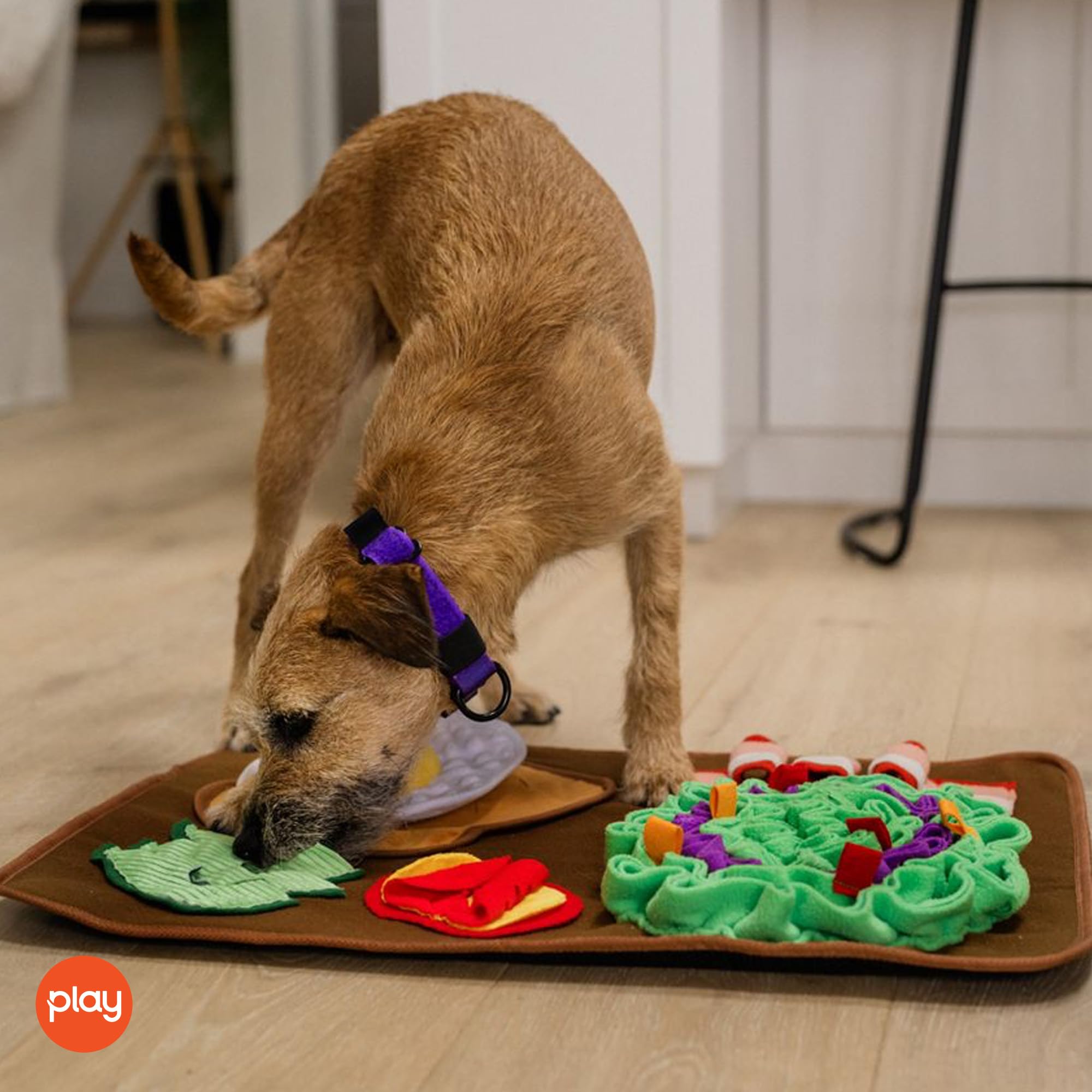 P.L.A.Y. Niedliche Schnüffelmatte für Hunde, interaktive Futter- und Leckerli-Matte für Welpen und Hunde aller Größen, ideal für langsames Füttern, Nasenarbeit und Futtersuche, maschinenwaschbar
