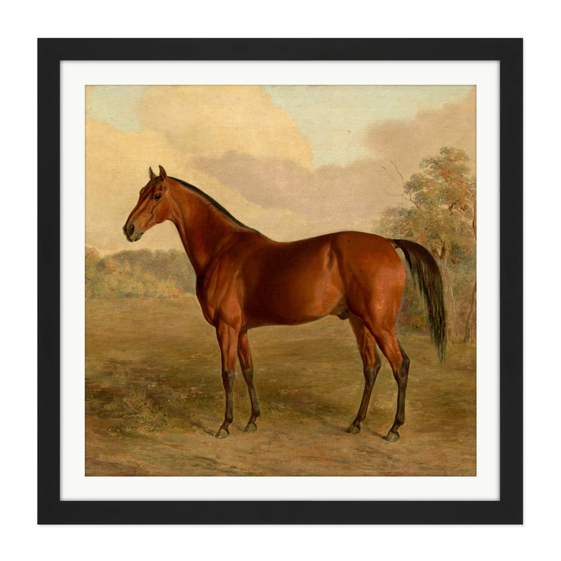 Artery8 Troye Kentucky Woodpecker 1834 Brown Horse Painting Square Wooden Framed Wall Art Print Picture 16X16 Inch