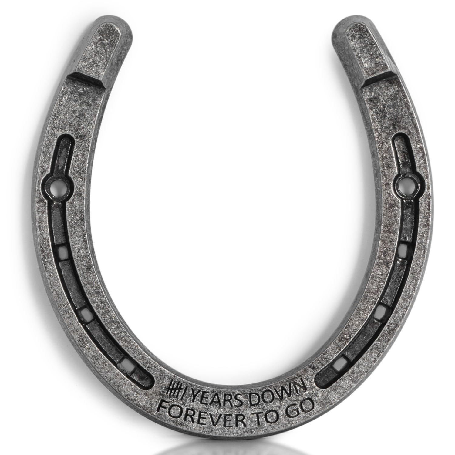 BESZONE Horseshoe Anniversary Decor