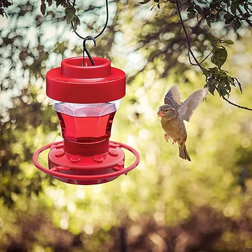 Miniatura 7 de Comedero para colibríes, comedero para colibríes para exteriores, alimentador de colibríes al aire libre, First Nature a prueba de abejas, comedero