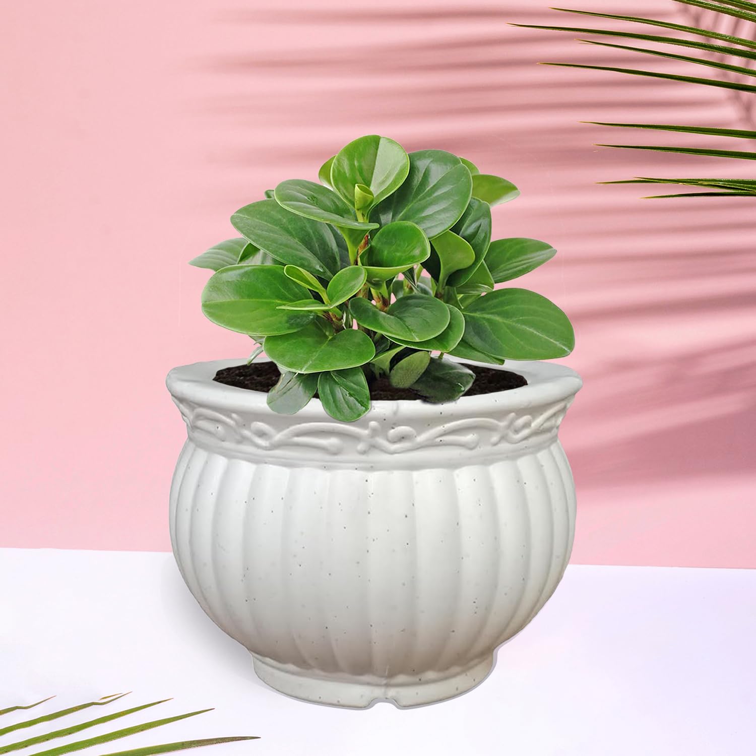 Heart Home Kanha Matki Flower Pot - White -5