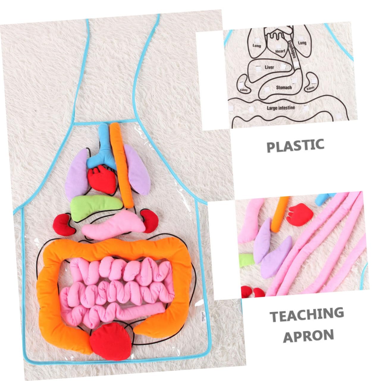 Toyvian Delantal Infantil 3D para Enseñanza de Anatomía Órganos del Cuerpo Humano, Material Didáctico de Plástico y Algodón PP para Educación Preescolar y Jardín de Infancia