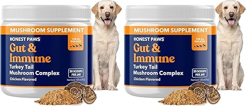 Miniatura 10 de Honest Paws Hongo de cola de pavo para perros, apoyo digestivo e inmunológico, Shiitake, Reishi, suplemento de hongos Maitake en polvo para perros