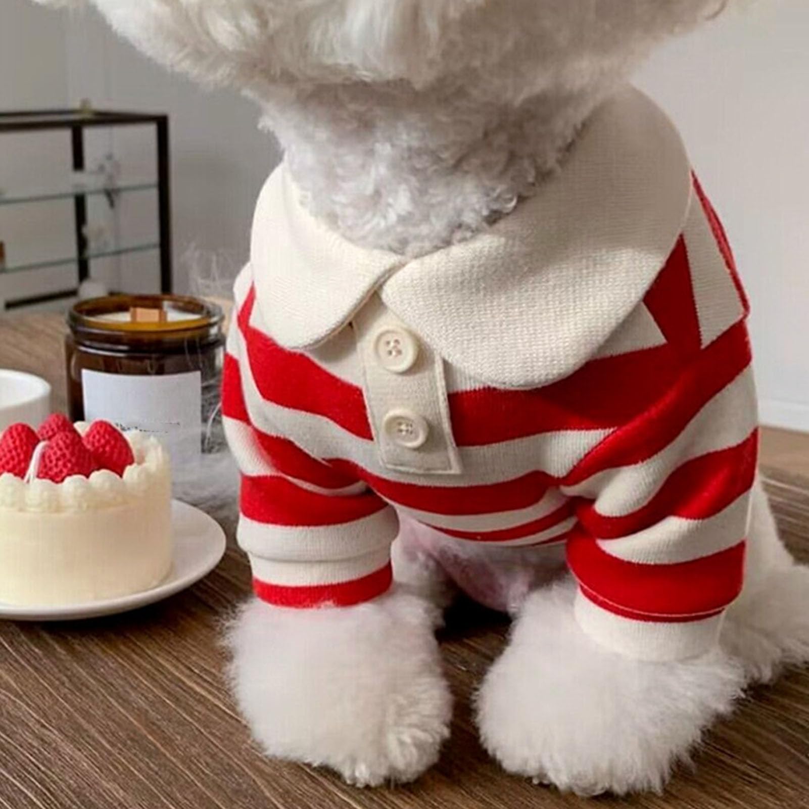 Chemise rayée pour chien haut de gamme : vêtement chic confectionné avec soin pour petit chat XL