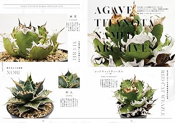インドアジャングル1〜3セット販売