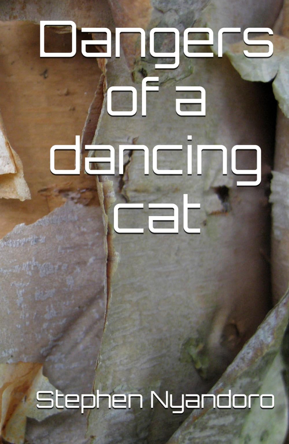 Dangers of a dancing cat